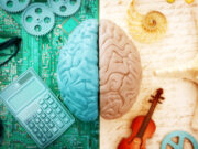 ¿Tienen las dos mitades del cerebro la misma habilidad para el lenguaje? Hemisferios del cerebro