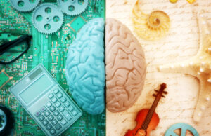 ¿Tienen las dos mitades del cerebro la misma habilidad para el lenguaje? Hemisferios del cerebro