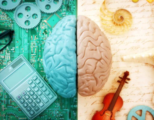 ¿Tienen las dos mitades del cerebro la misma habilidad para el lenguaje? Hemisferios del cerebro