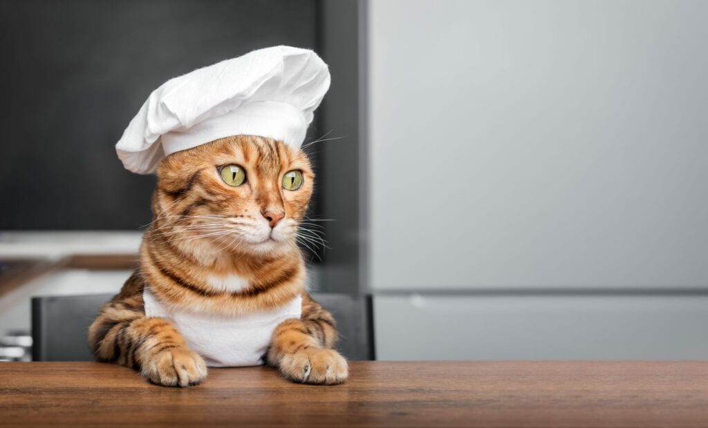 origen de las comidas