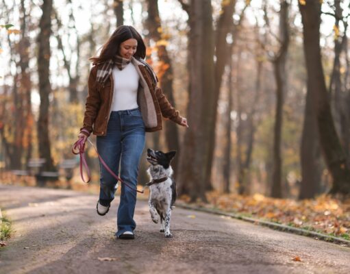 6 consejos para tener mascotas sanas y contentas mascota