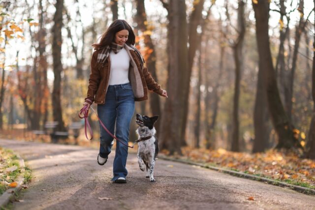 Woman,Walking,Her,Cute,Dog,In,Autumn,Park,,Space,For mascota