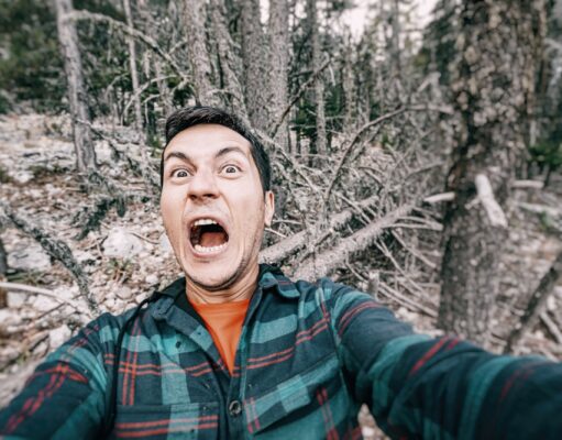 Ataques de animales animales