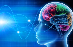 ¿Cómo mantener activo el cerebro? Revista Selecciones