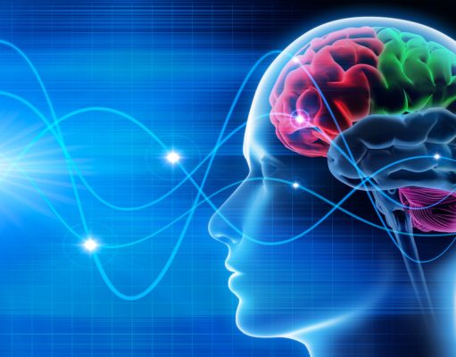 ¿Cómo mantener activo el cerebro?