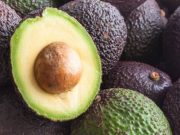 12 datos curiosos sobre las paltas 12-datos-curiosos-sobre-las-paltas-4126-mainImage-0