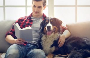 13 cosas que tu perro sabe de vos Revista Selecciones