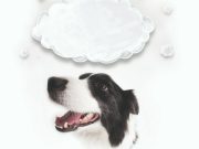 ¿Qué está pensando su perro?