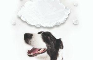 ¿Qué está pensando su perro? Revista Selecciones