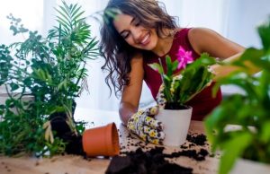 5 ideas para cultivar plantas en tu hogar Revista Selecciones