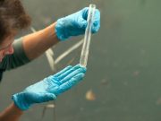 8 datos sobre la escasez de agua en el mundo