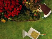 9 consejos para un jardín ecológico