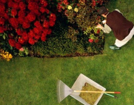 9 consejos para un jardín ecológico