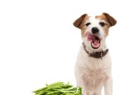 9 secretos simples para mejorar su vida