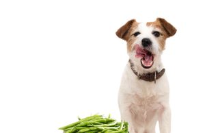 9 secretos simples para mejorar su vida Revista Selecciones