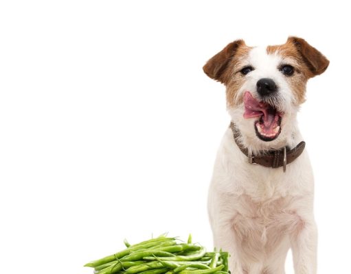 9 secretos simples para mejorar su vida