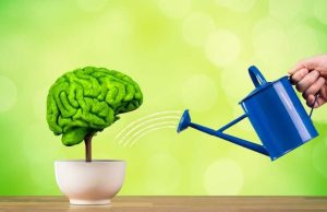 9 tips para mejorar tu memoria Revista Selecciones