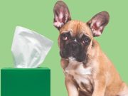 9 trucos para mejorar su vida