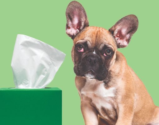 9 trucos para mejorar su vida