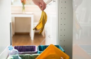 A poner la basura a trabajar Revista Selecciones