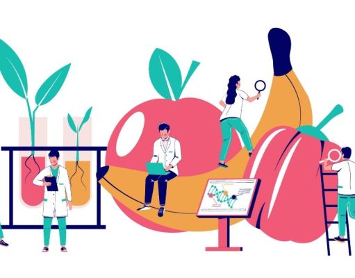 Aditivos ¿Son peligrosos para la salud?