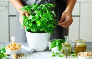 Albahaca: la hierba culinaria italiana por excelencia Revista Selecciones