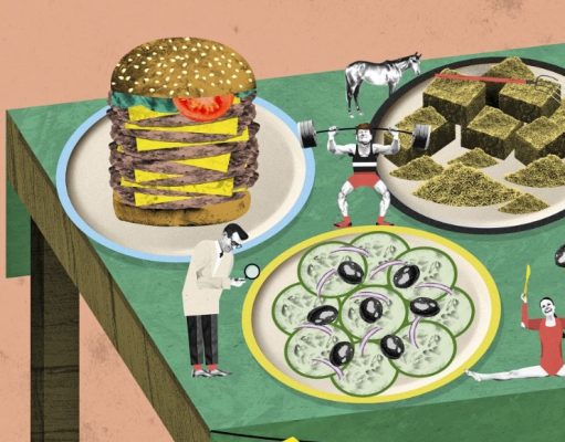 Alimentación olímpica