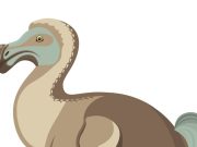 Animales en peligro de extinción