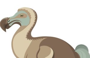 Animales en peligro de extinción Revista Selecciones