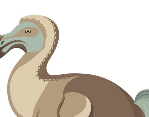 Animales en peligro de extinción