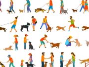 Animales que salvan vidas