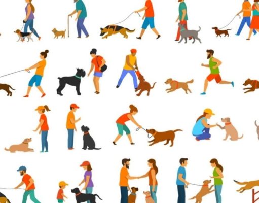 Animales que salvan vidas