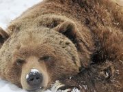 Aprender a ser independiente