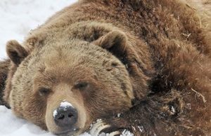 Aprender a ser independiente Revista Selecciones