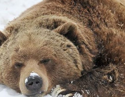 Aprender a ser independiente