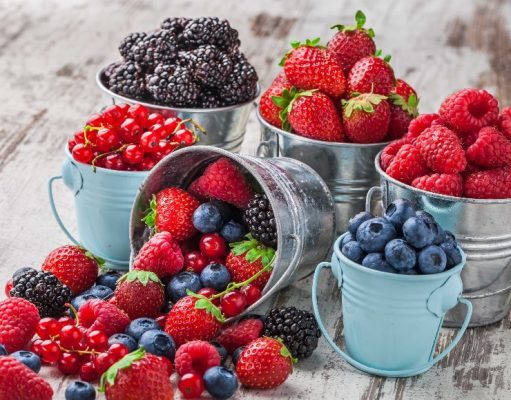 Arándanos rojos: un alimento saludable que nunca pasa de moda