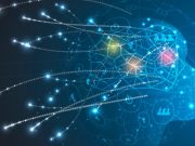 Así funciona el cerebro bajo estrés