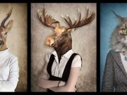 Así se curan los animales con lo que tienen a mano