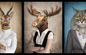 Así se curan los animales con lo que tienen a mano Revista Selecciones