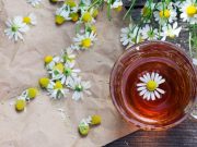 Bebida deliciosa: el Té