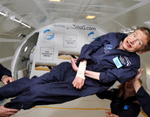 Brillante y divertido