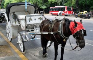 Buenos Aires: los históricos mateos Revista Selecciones