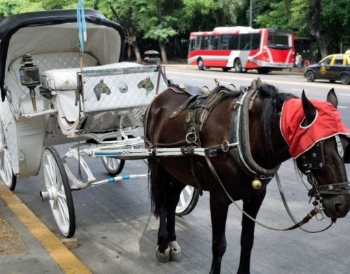 Buenos Aires: los históricos mateos