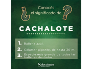 Cachalote
