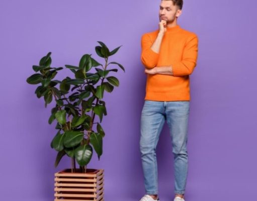 Cinco partes de tu cuerpo que quizá no necesites