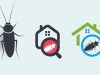 ¿Cómo acabar con las plagas en tu hogar? Revista Selecciones