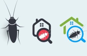 ¿Cómo acabar con las plagas en tu hogar? Revista Selecciones
