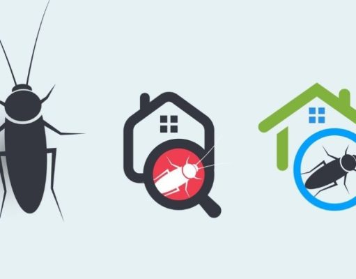 ¿Cómo acabar con las plagas en tu hogar?