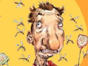 Cómo ahuyentar los mosquitos