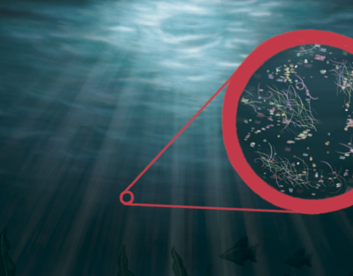 Cómo el plástico del mar llega a tu estómago